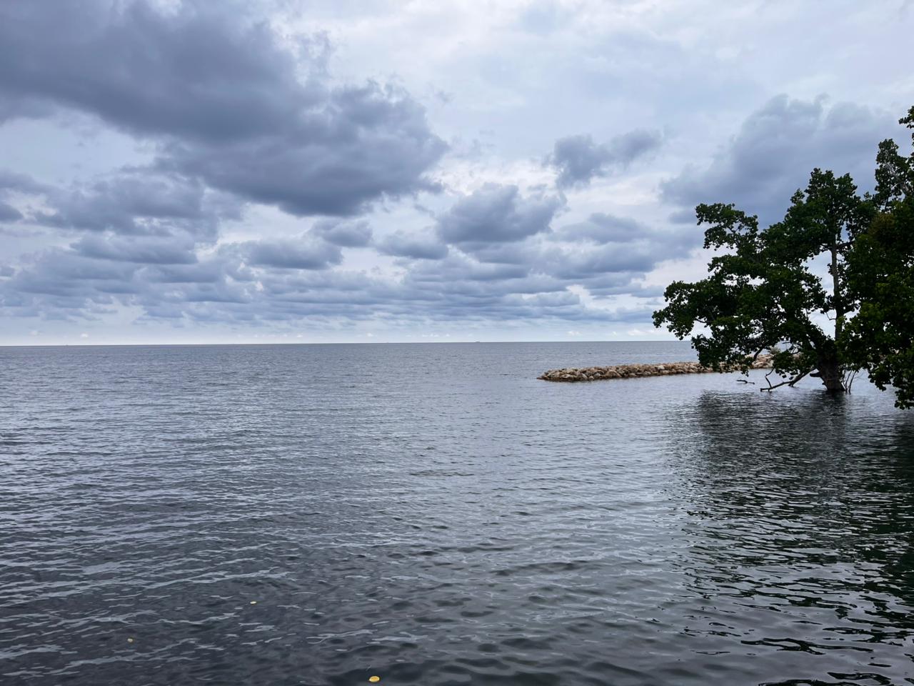 Pemandangan Pesisir & Mangrove